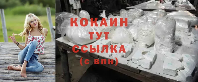 наркота  Бийск  Cocaine VHQ 